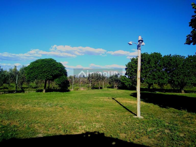 Finca en Venta en San Martin, Mendoza