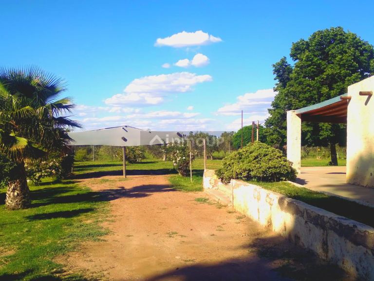 Finca en Venta en San Martin, Mendoza