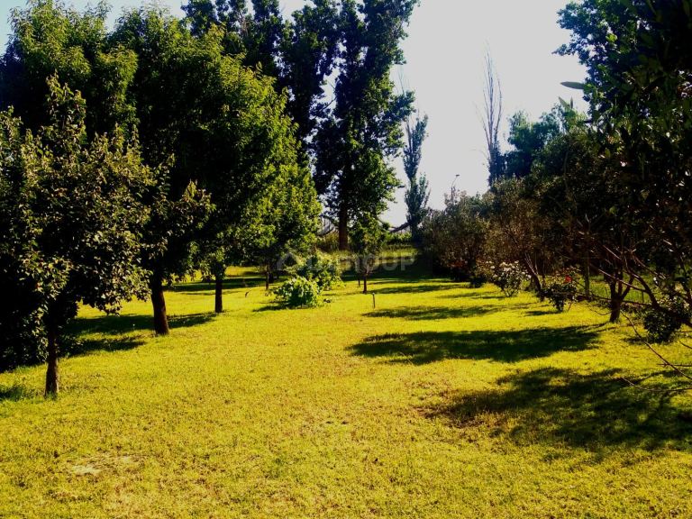 Finca en Venta en San Martin, Mendoza