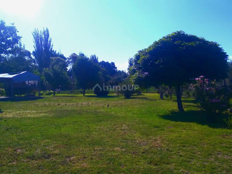 Finca en Venta en San Martin, Mendoza