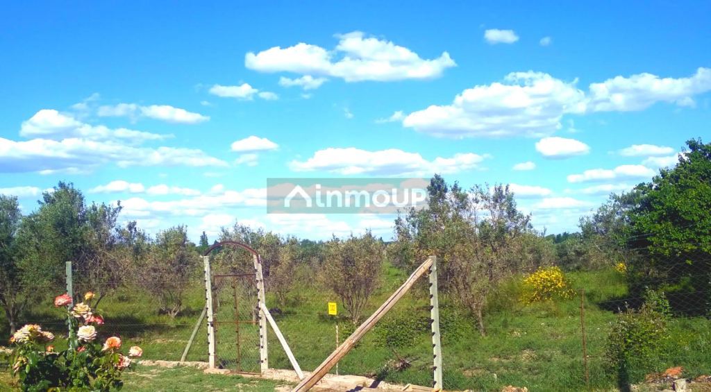 Finca en Venta en San Martin, Mendoza