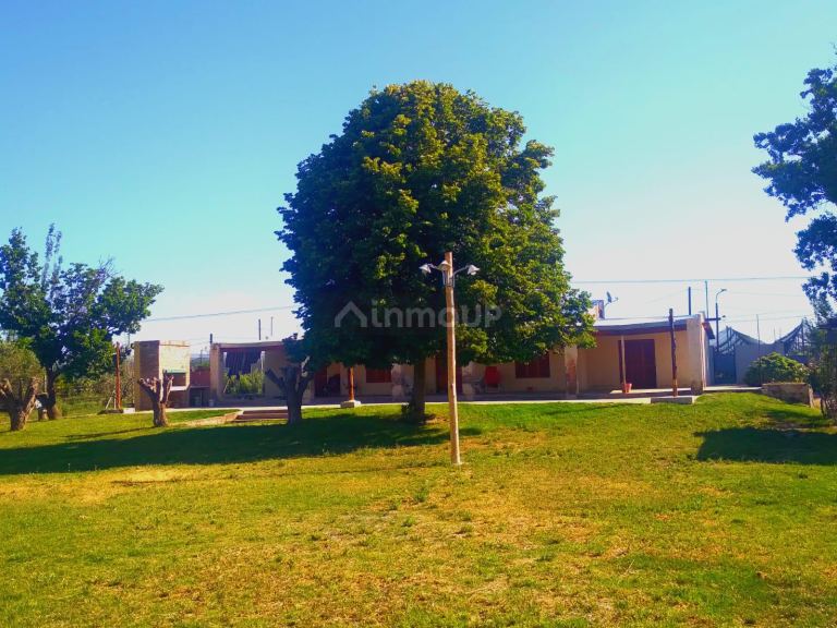 Finca en Venta en San Martin, Mendoza