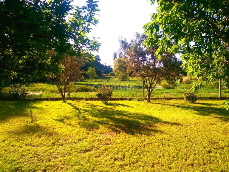 Finca en Venta en San Martin, Mendoza