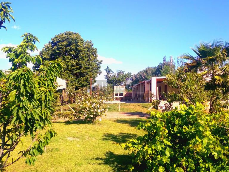 Finca en Venta en San Martin, Mendoza