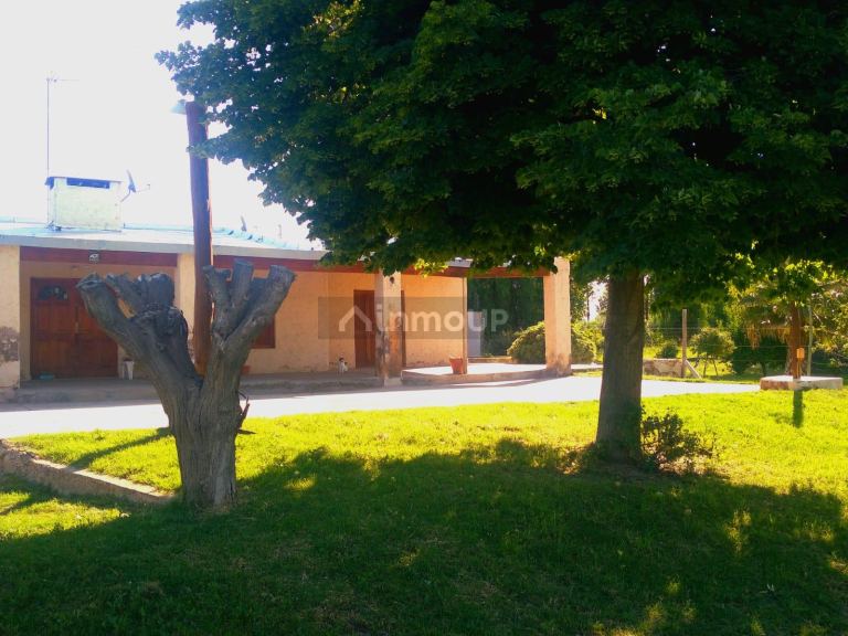 Finca en Venta en San Martin, Mendoza