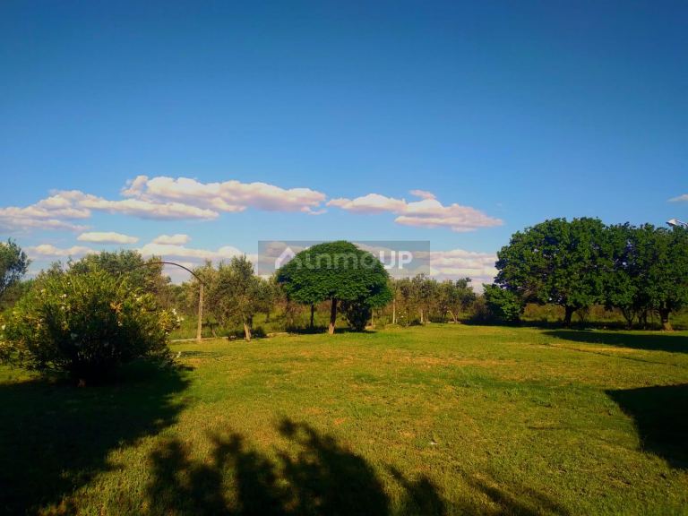 Finca en Venta en San Martin, Mendoza