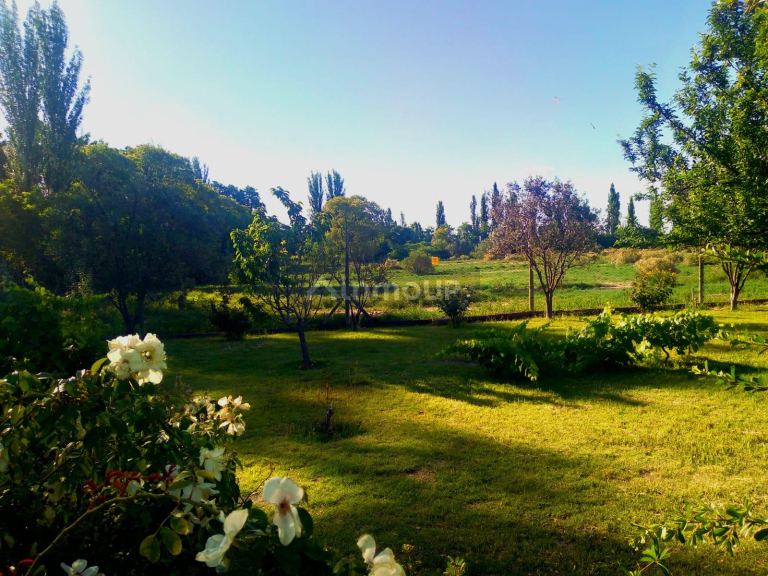 Finca en Venta en San Martin, Mendoza
