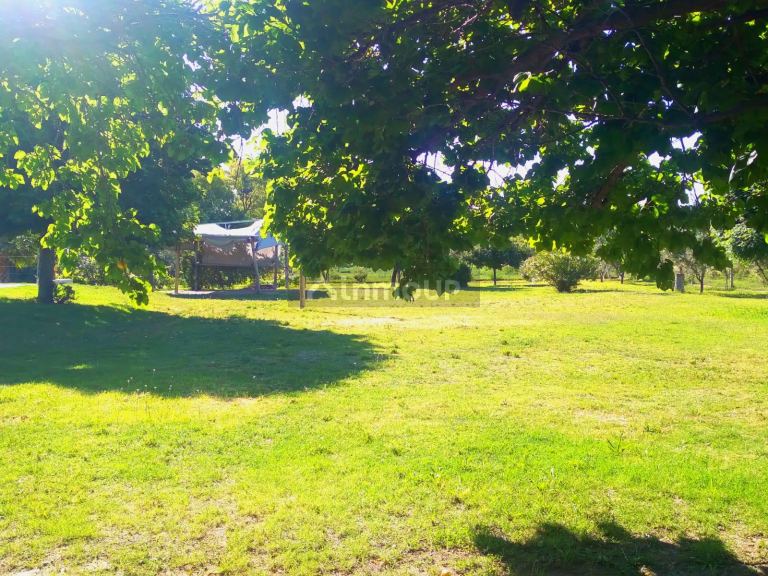 Finca en Venta en San Martin, Mendoza