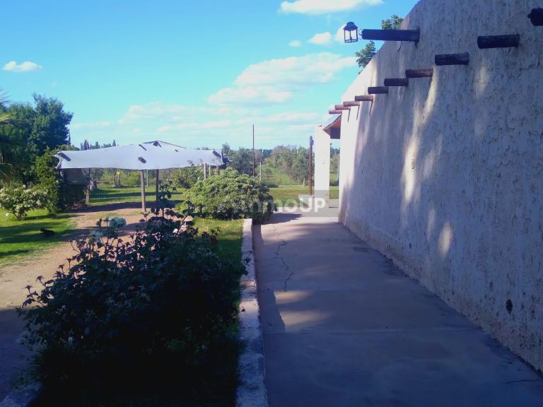 Finca en Venta en San Martin, Mendoza