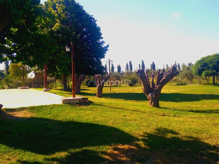 Finca en Venta en San Martin, Mendoza