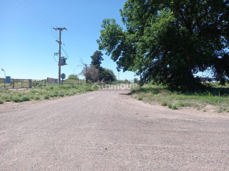 Finca en Venta en San Martin, Mendoza