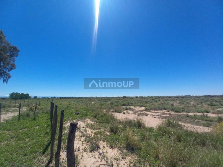 Finca en Venta en San Martin, Mendoza