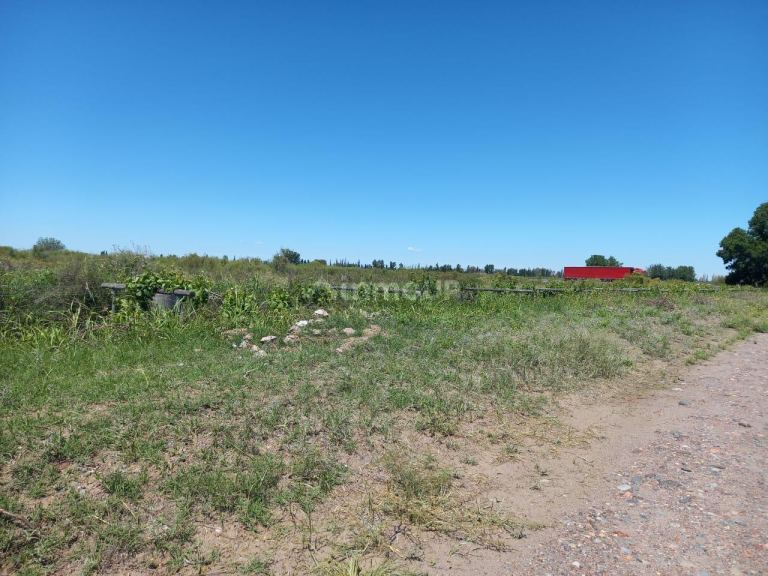 Finca en Venta en San Martin, Mendoza