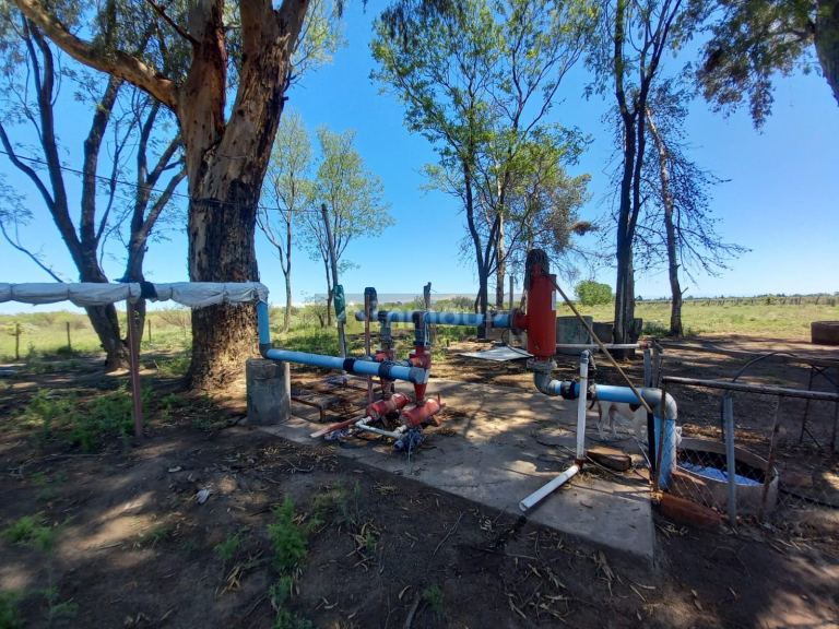 Finca en Venta en San Martin, Mendoza