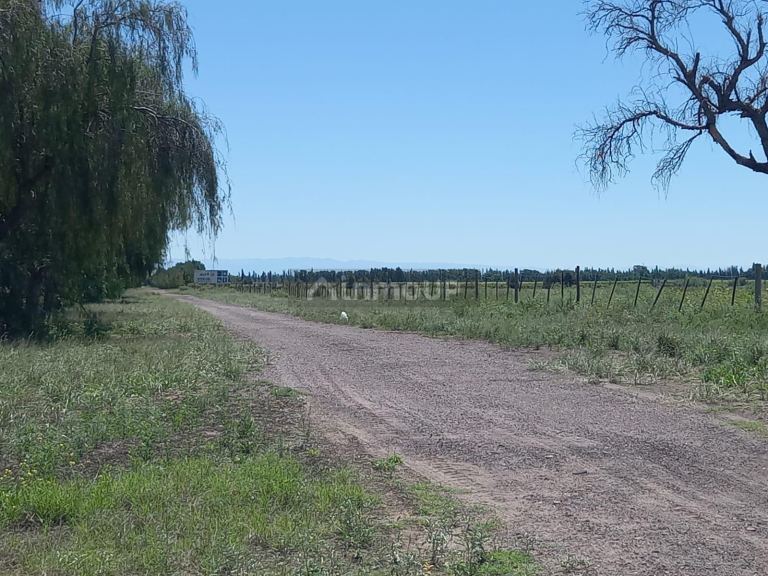 Finca en Venta en San Martin, Mendoza