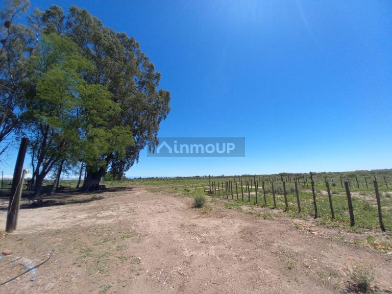 Finca en Venta en San Martin, Mendoza