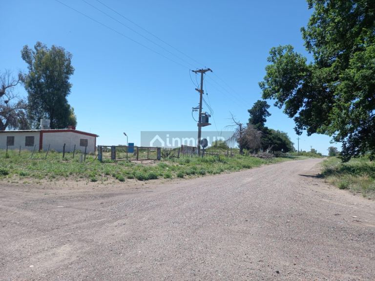Campo en Venta en San Martin, Mendoza