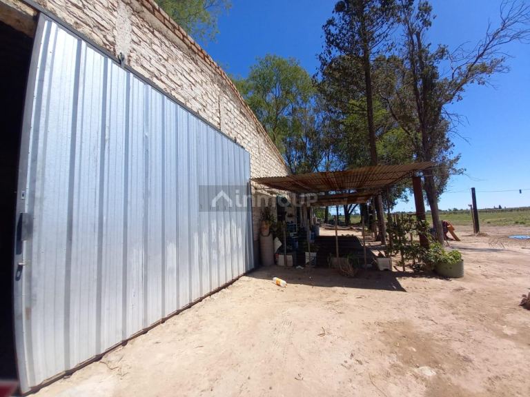 Campo en Venta en San Martin, Mendoza