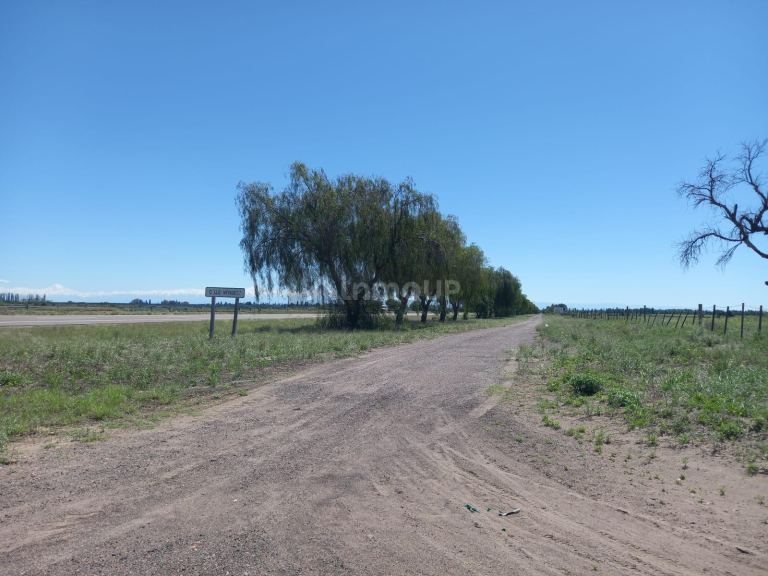 Campo en Venta en San Martin, Mendoza
