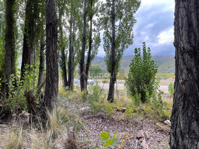 Cabaña en Venta en Tunuyan, Mendoza