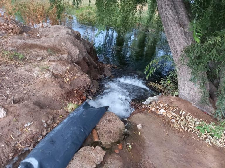 Finca en Venta en San Carlos, Mendoza