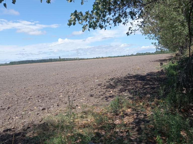 Finca en Venta en San Carlos, Mendoza
