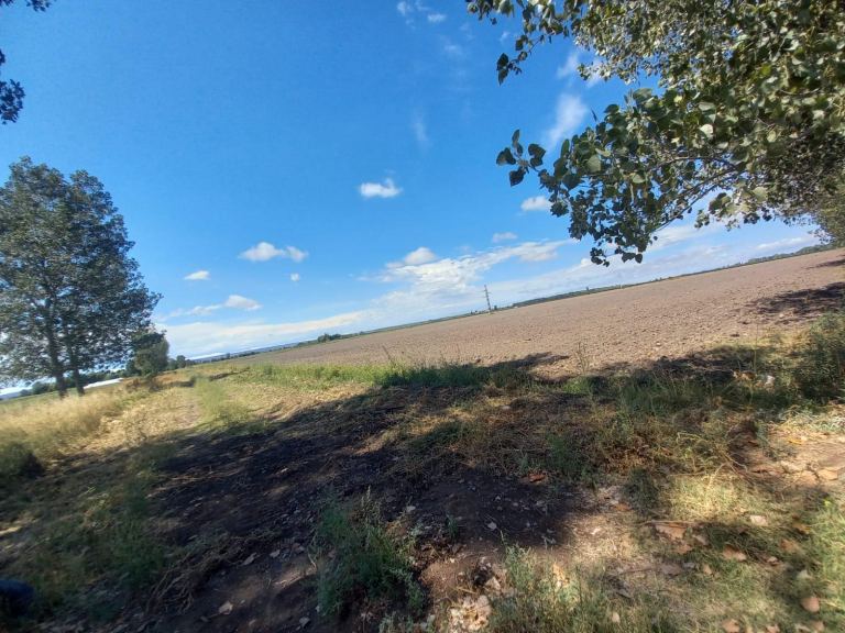 Finca en Venta en San Carlos, Mendoza