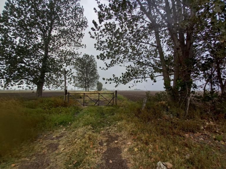 Finca en Venta en San Carlos, Mendoza