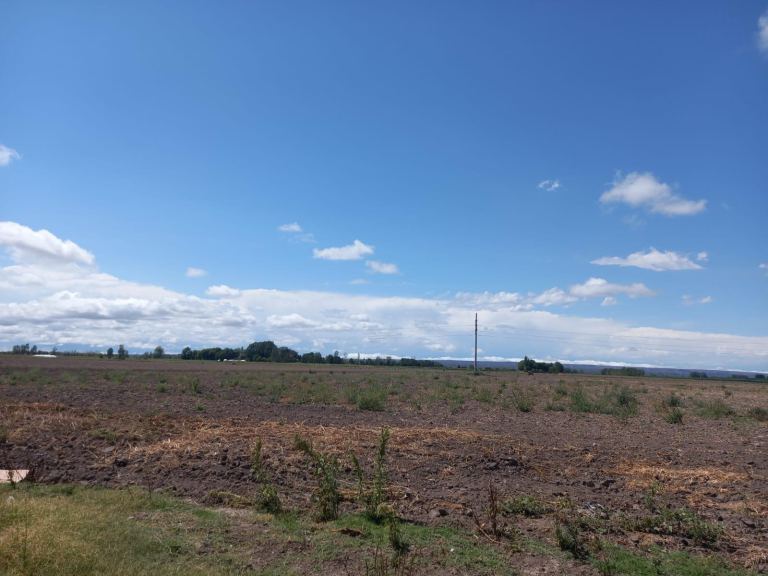 Finca en Venta en San Carlos, Mendoza