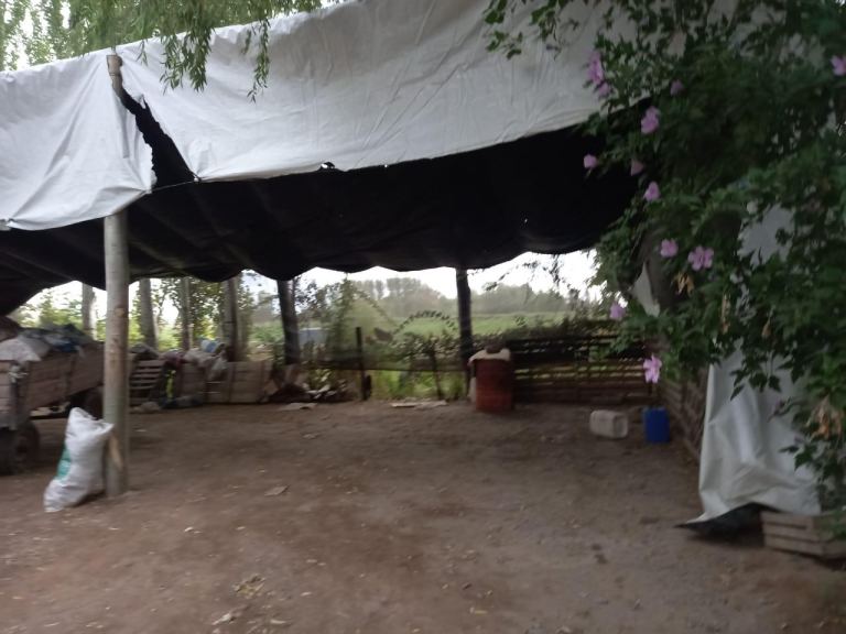 Finca en Venta en San Carlos, Mendoza