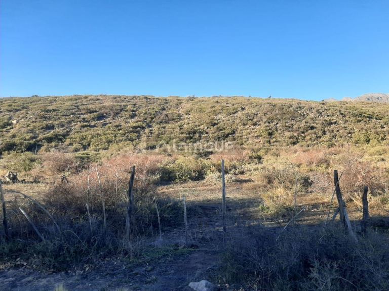 Lote en Venta en Tunuyan, Mendoza