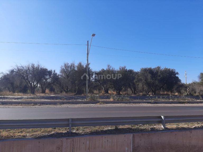 Lote en Venta en Maipu, Mendoza