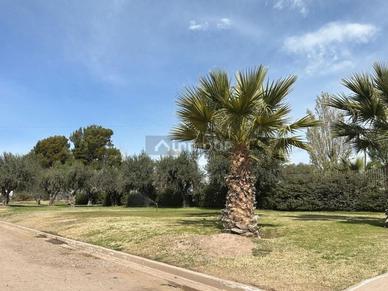 Lote en Venta en Maipu, Mendoza