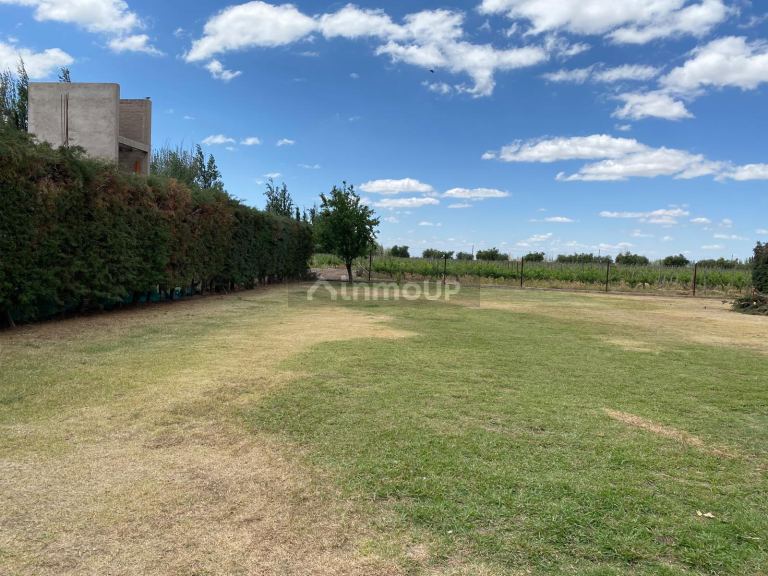 Casa en Alquiler en Maipu, Mendoza