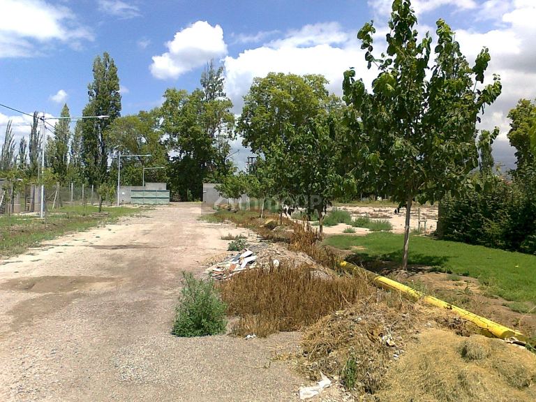 Lote en Venta en Lujan de Cuyo, Mendoza