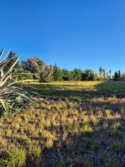 Lote en Venta en Godoy Cruz, Mendoza