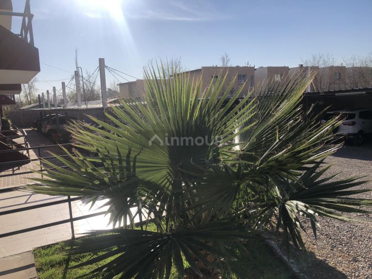 Departamento en Alquiler en Guaymallen, Mendoza