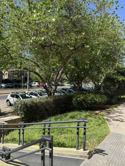 Departamento en Alquiler en Capital, Mendoza