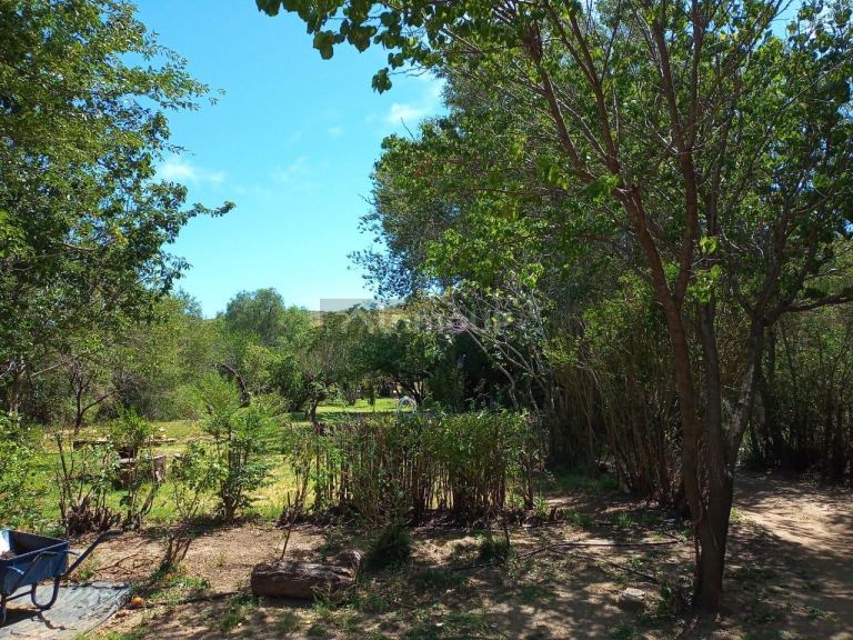 Casa en Venta en Juana Koslay, San Luis