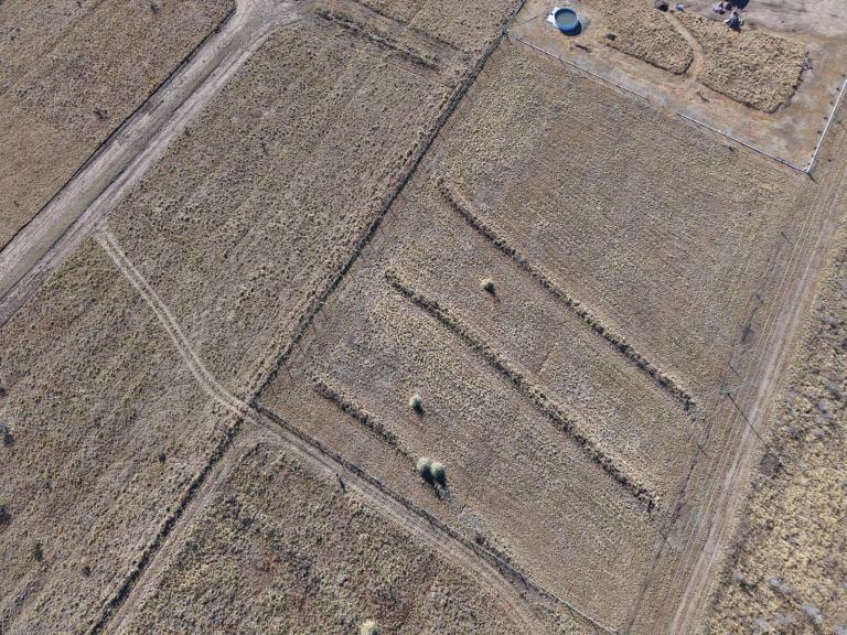 Lote en Venta en Coronel Pringles, San Luis