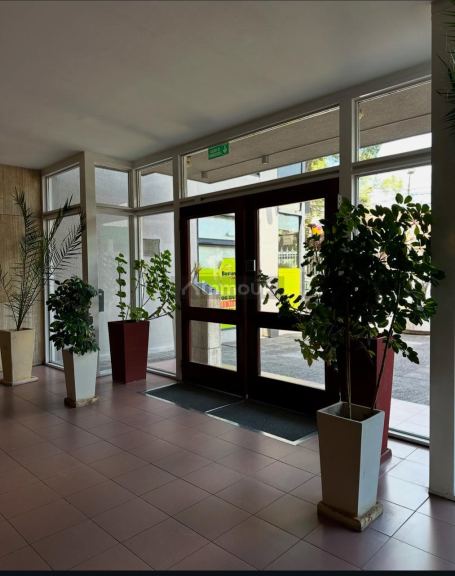 Departamento en Alquiler en San Luis, San Luis