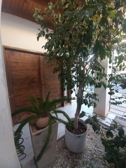 Casa en Venta en Godoy Cruz, Mendoza