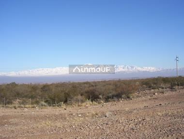 Campo en Venta en Lujan de Cuyo, Mendoza