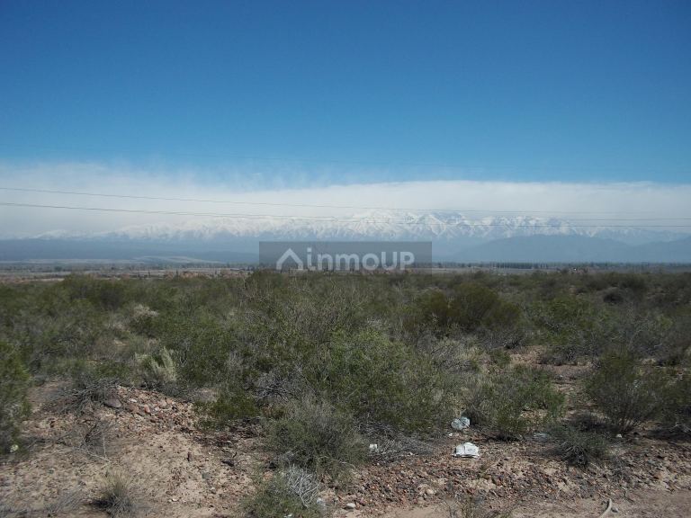 Campo en Venta en Lujan de Cuyo, Mendoza