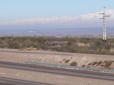 Campo en Venta en Lujan de Cuyo, Mendoza