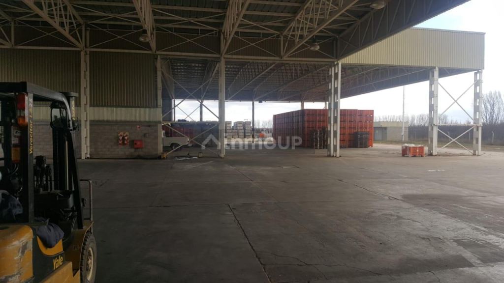 Industria en Venta en Tunuyan, Mendoza