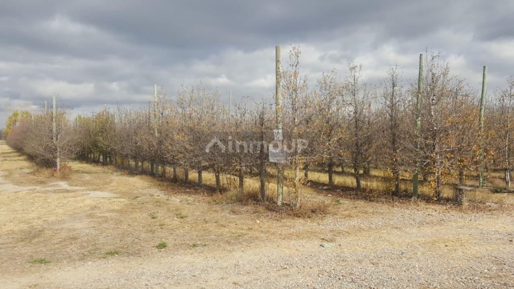 Industria en Venta en Tunuyan, Mendoza