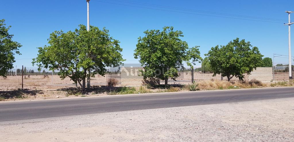 Lote en Venta en Lujan de Cuyo, Mendoza