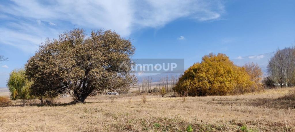 Lote en Venta en Tupungato, Mendoza