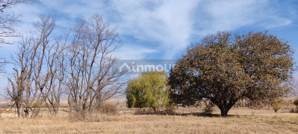 Lote en Venta en Tupungato, Mendoza